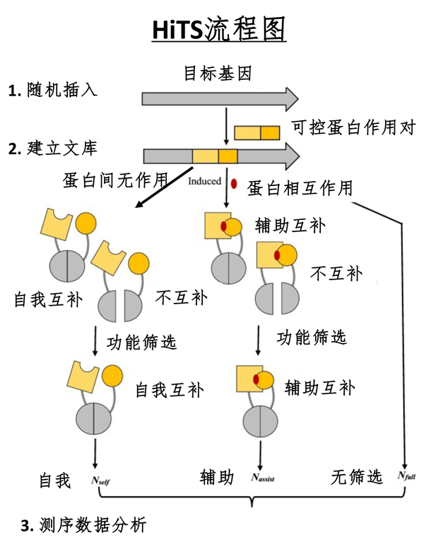 图片1.png 图片1.png